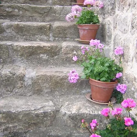 Mas Casta Nea Thueyts