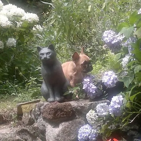 Bed & Breakfast Mas Casta Nea Thueyts