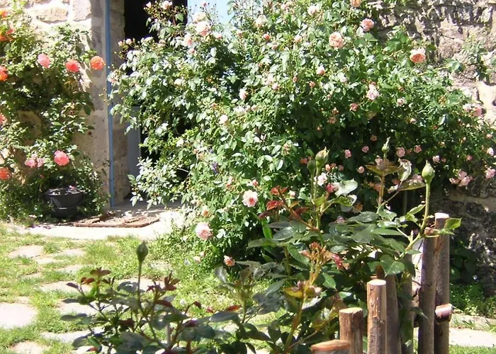 Mas Casta Nea 3*