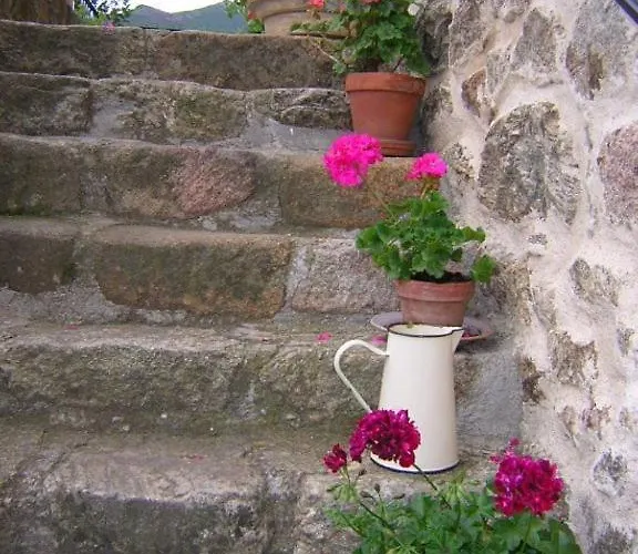 Mas Casta Nea B&B 3*